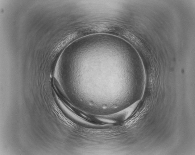 X0000059230393200510141043