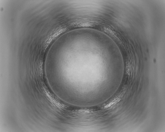 X0000059230394200510141043