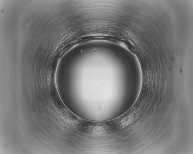 X0000059230412200510141042