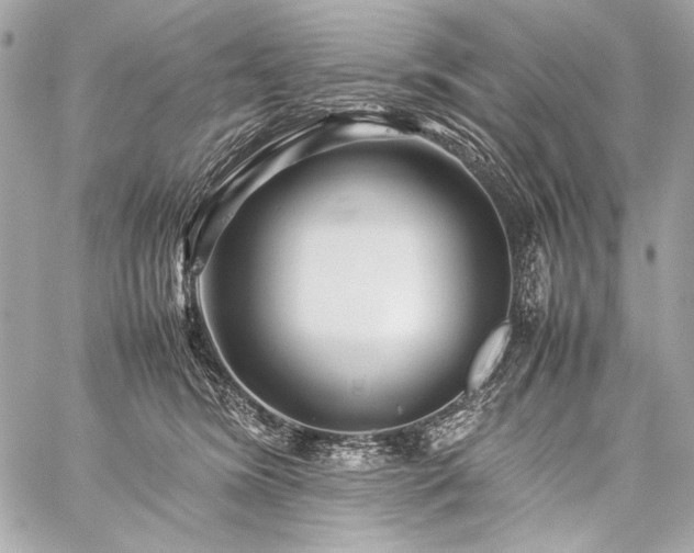 X0000059230420200510141042