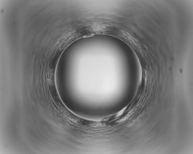 X0000059230421200510141042