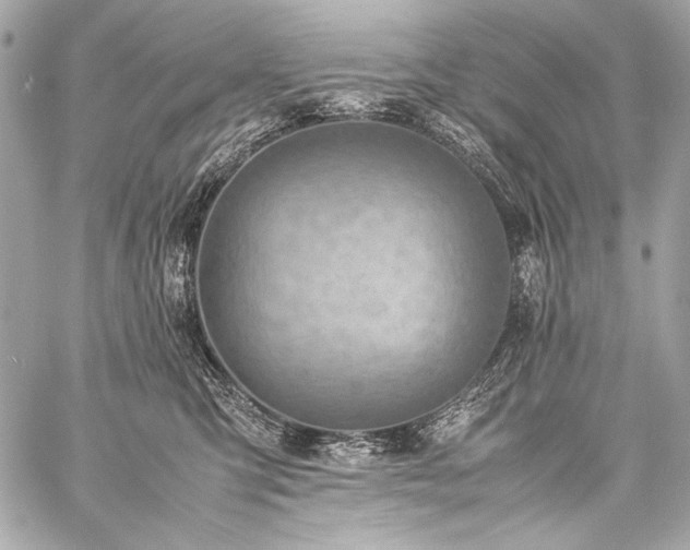 X0000059230423200510141042