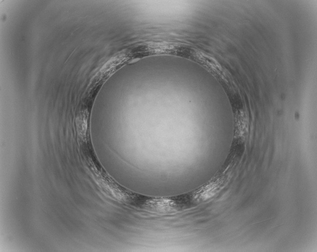 X0000059230427200510141042