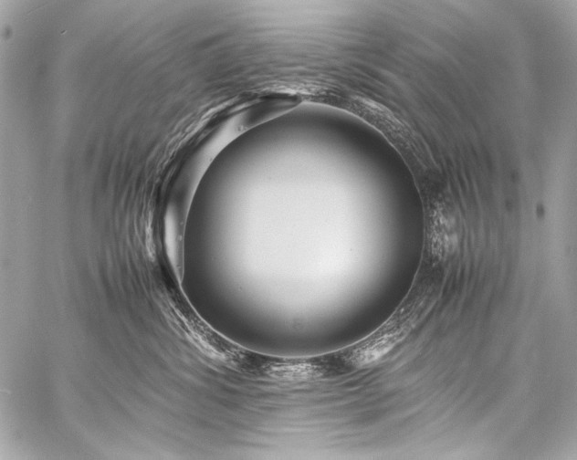 X0000059230428200510141042