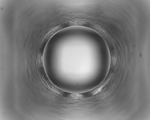 X0000059230429200510141042