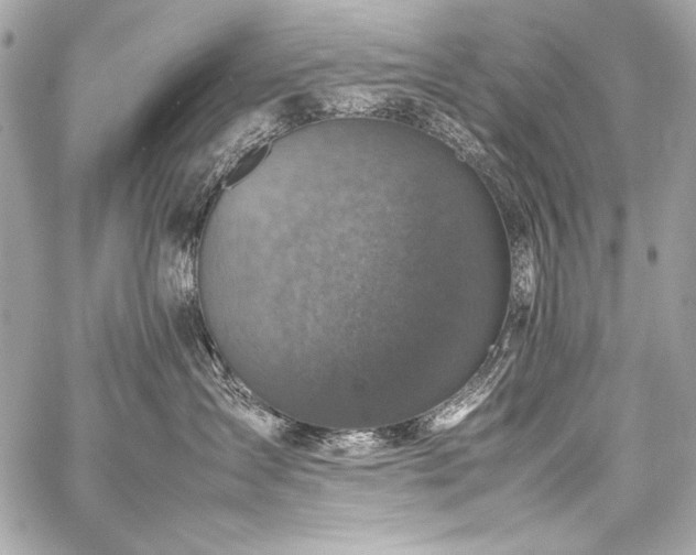X0000059230431200510141042