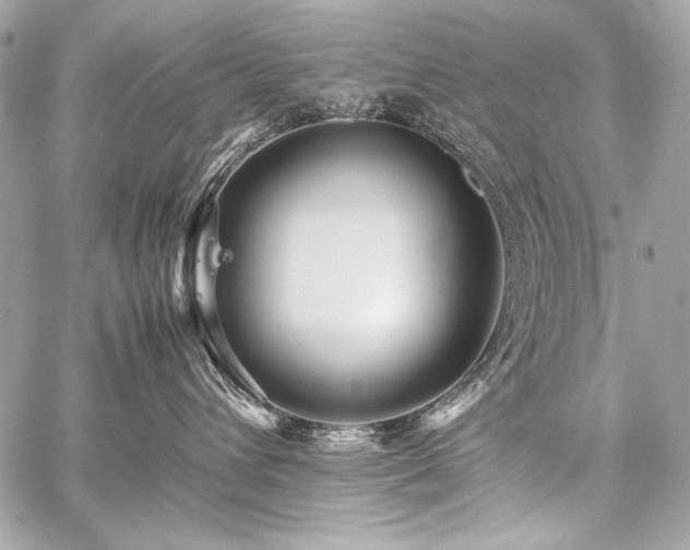 X0000059230432200510141042