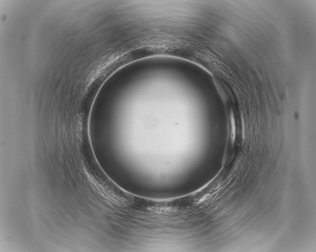 X0000059230448200510141041