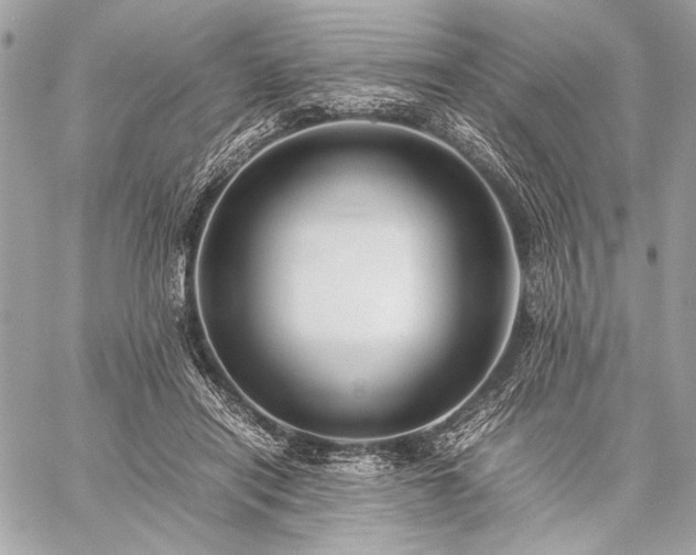 X0000059230454200510141042
