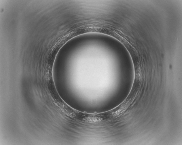 X0000059230464200510141042