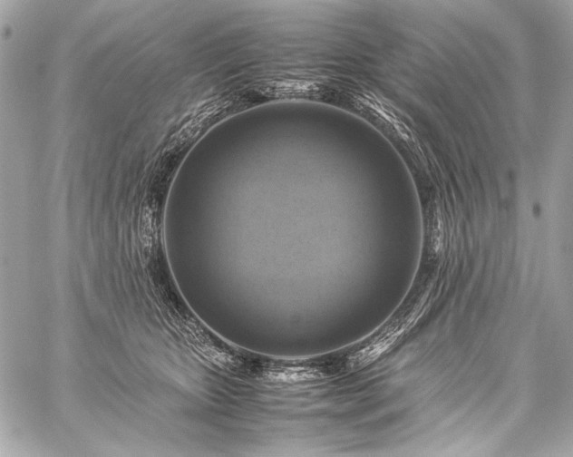 X0000059230467200510141042