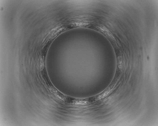 X0000059230471200510141042
