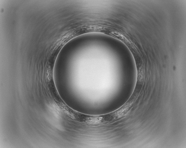 X0000059230474200510141042