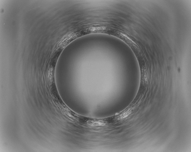 X0000059230475200510141042