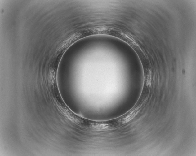 X0000059230476200510141042