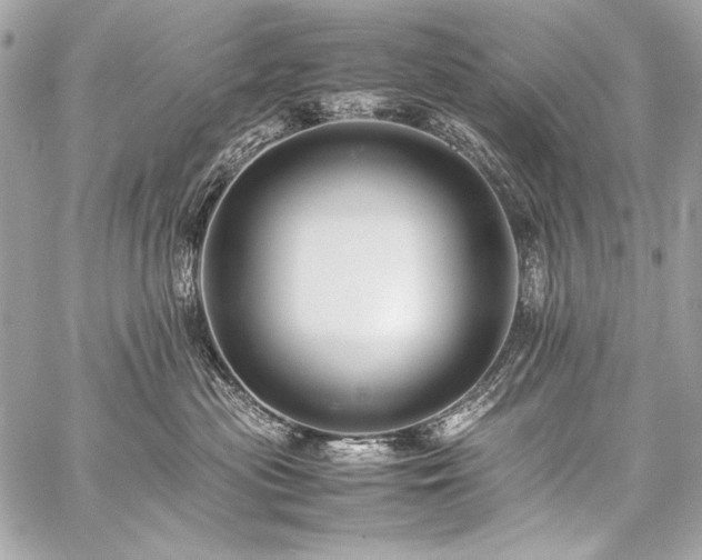 X0000059230477200510141042