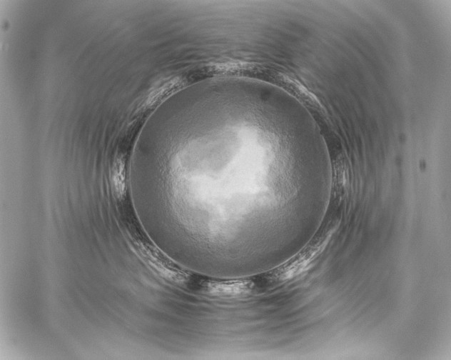 X0000059230479200510141042