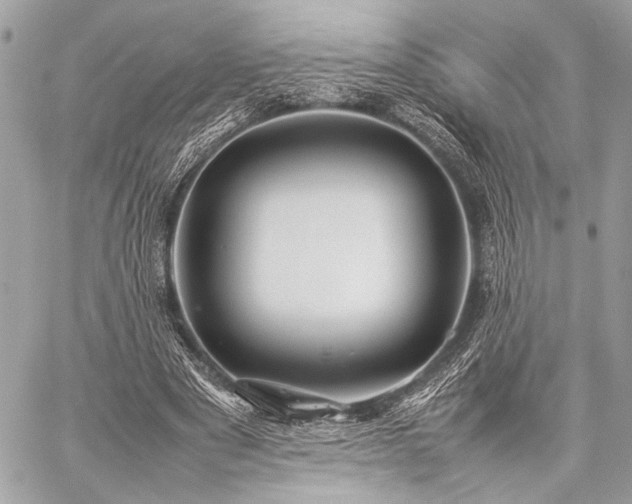 X0000059230489200510141041