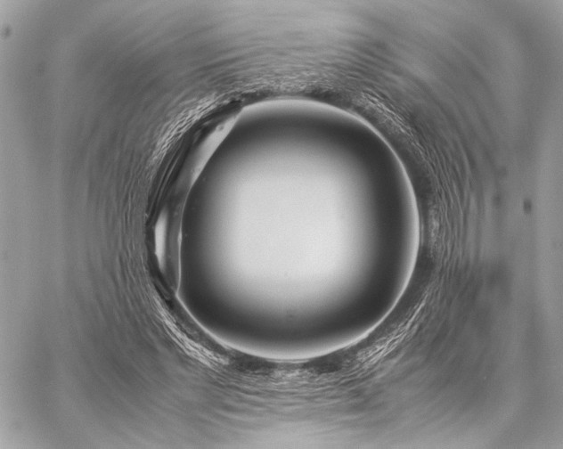 X0000059230493200510141041