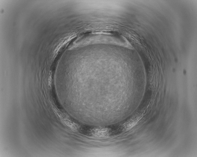 X0000059230495200510141041