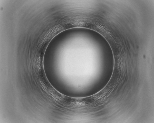 X0000059230498200510141041