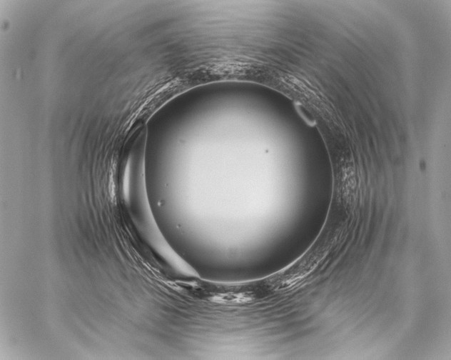 X0000059230508200510141041