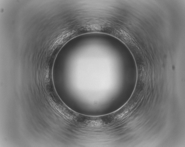 X0000059230548200510141040