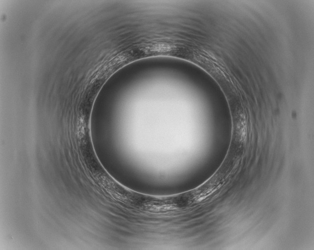 X0000059230555200510141040