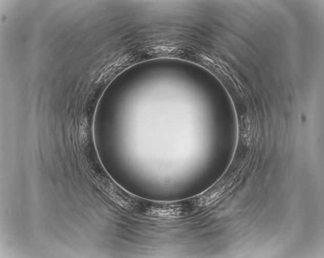 X0000059230563200510141040