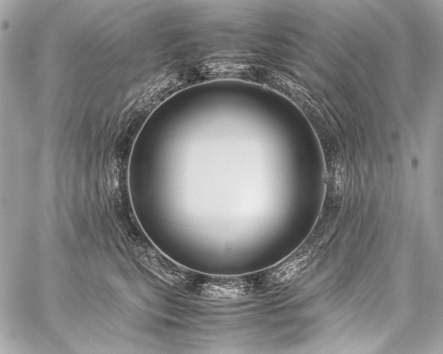 X0000059230567200510141040