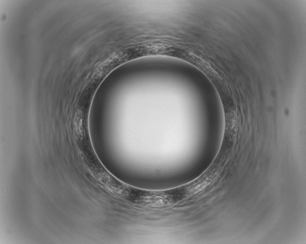 X0000059230615200510141039