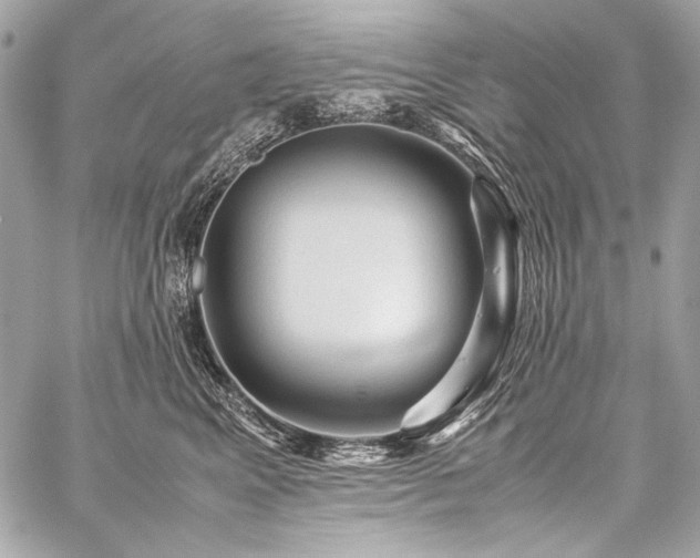 X0000059230617200510141039