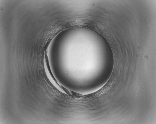 X0000059230624200510141039
