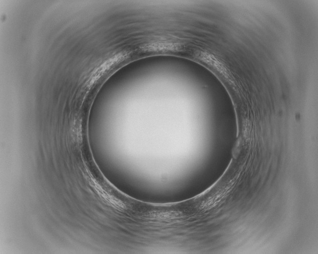 X0000059230629200510141038