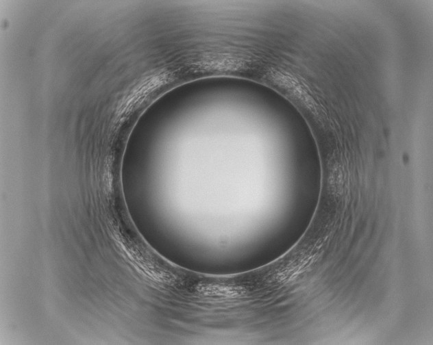 X0000059230635200510141038