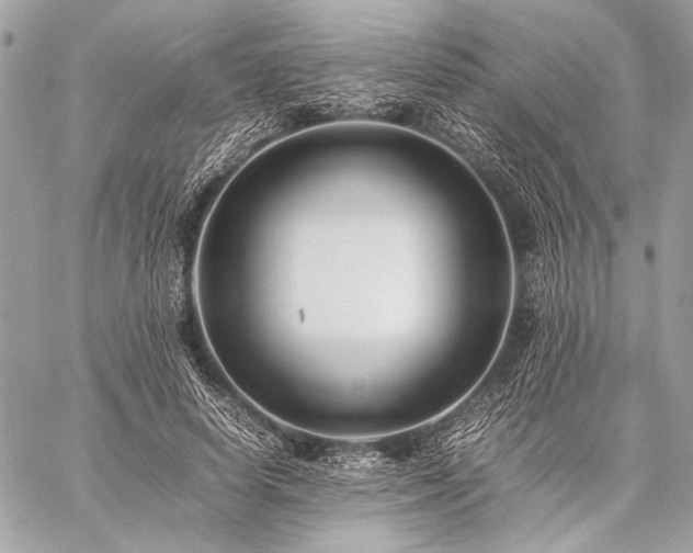 X0000059230642200510141038