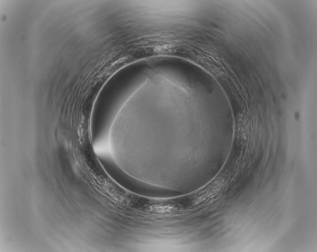 X0000059230650200510141038