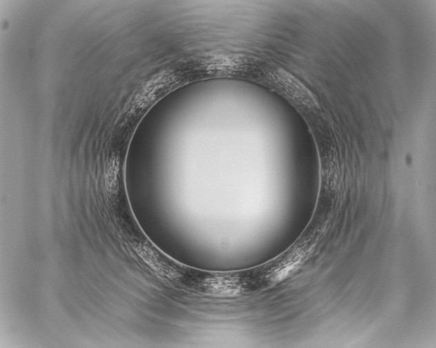 X0000059230660200510141039