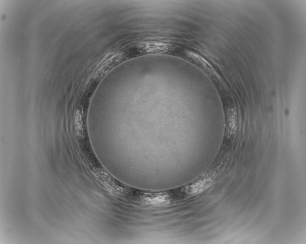 X0000059230667200510141039