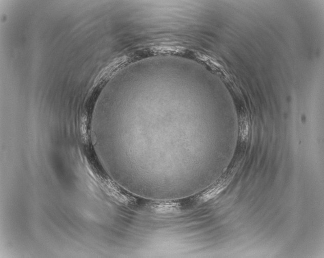 X0000059230670200510141039