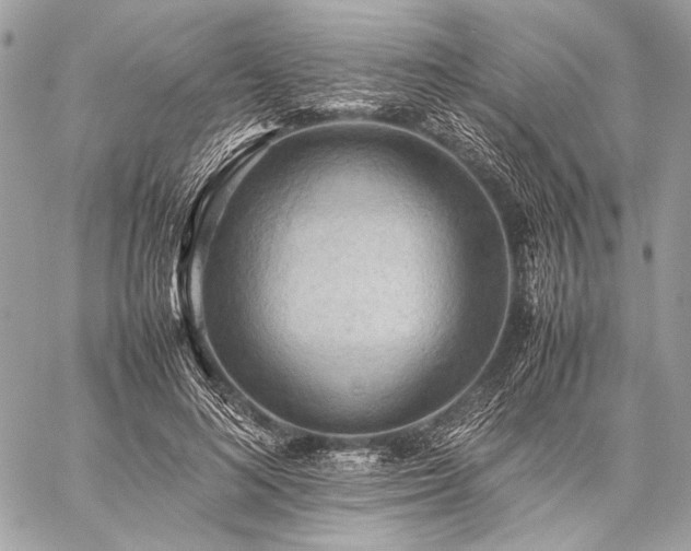 X0000059230692200510141038