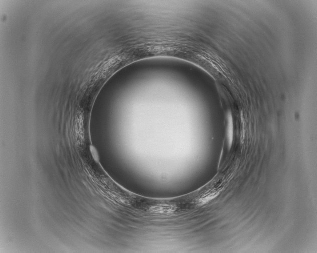 X0000059230700200510141038