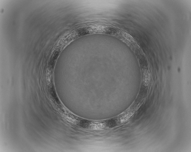 X0000059230701200510141038