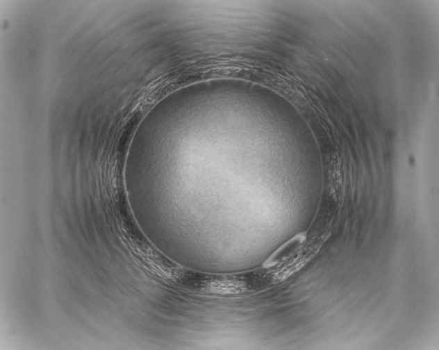 X0000059230708200510141037