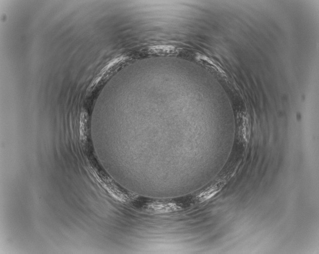 X0000059230712200510141037