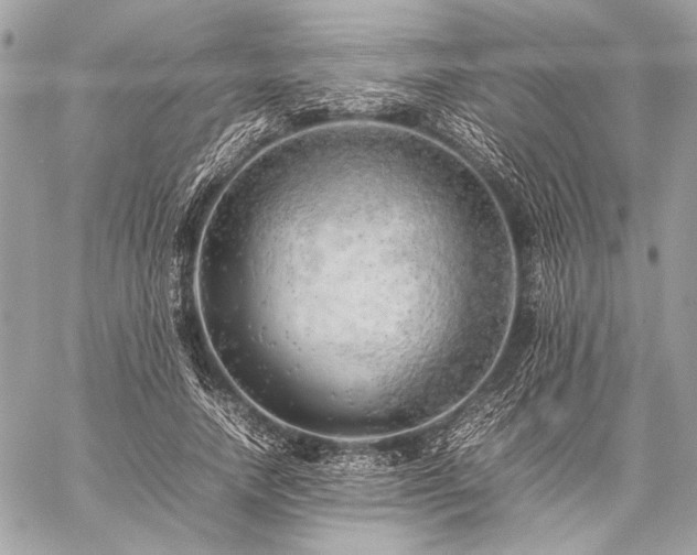 X0000059230738200510141037