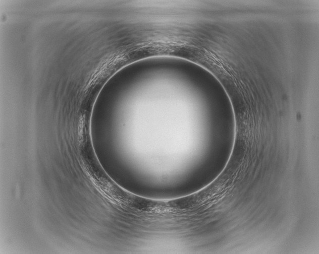 X0000059230742200510141037