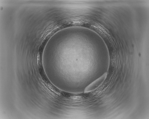 X0000059230748200510141037
