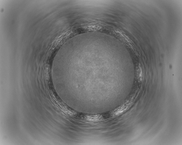 X0000059230757200510141037