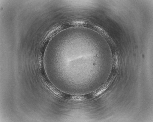 X0000059230762200510141037